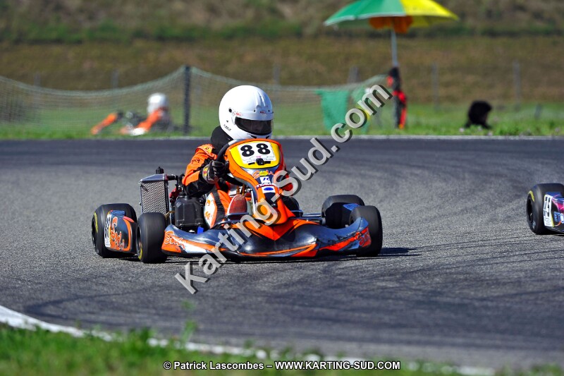 DSC_ (1584).jpg